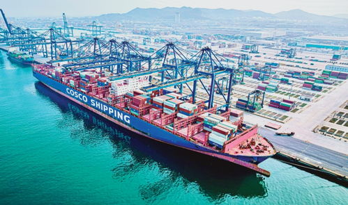 大連港 高效通關與便利貿(mào)易，引領國際船舶運輸新篇章