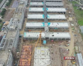 浙閩臺水產城擴建開放在即 九月迎客之際水電安裝進入攻堅階段